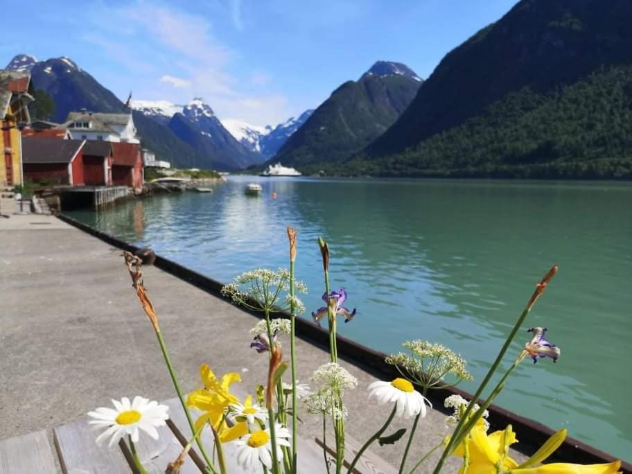 Sogndal Ski- And Mountain Cabin Екстериор снимка