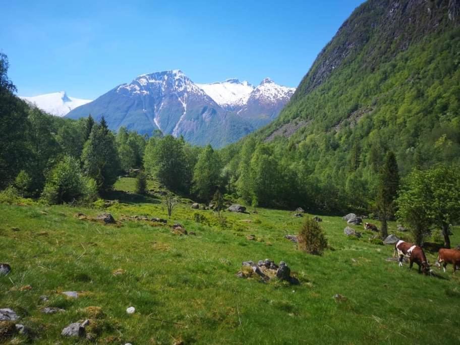 Sogndal Ski- And Mountain Cabin Екстериор снимка